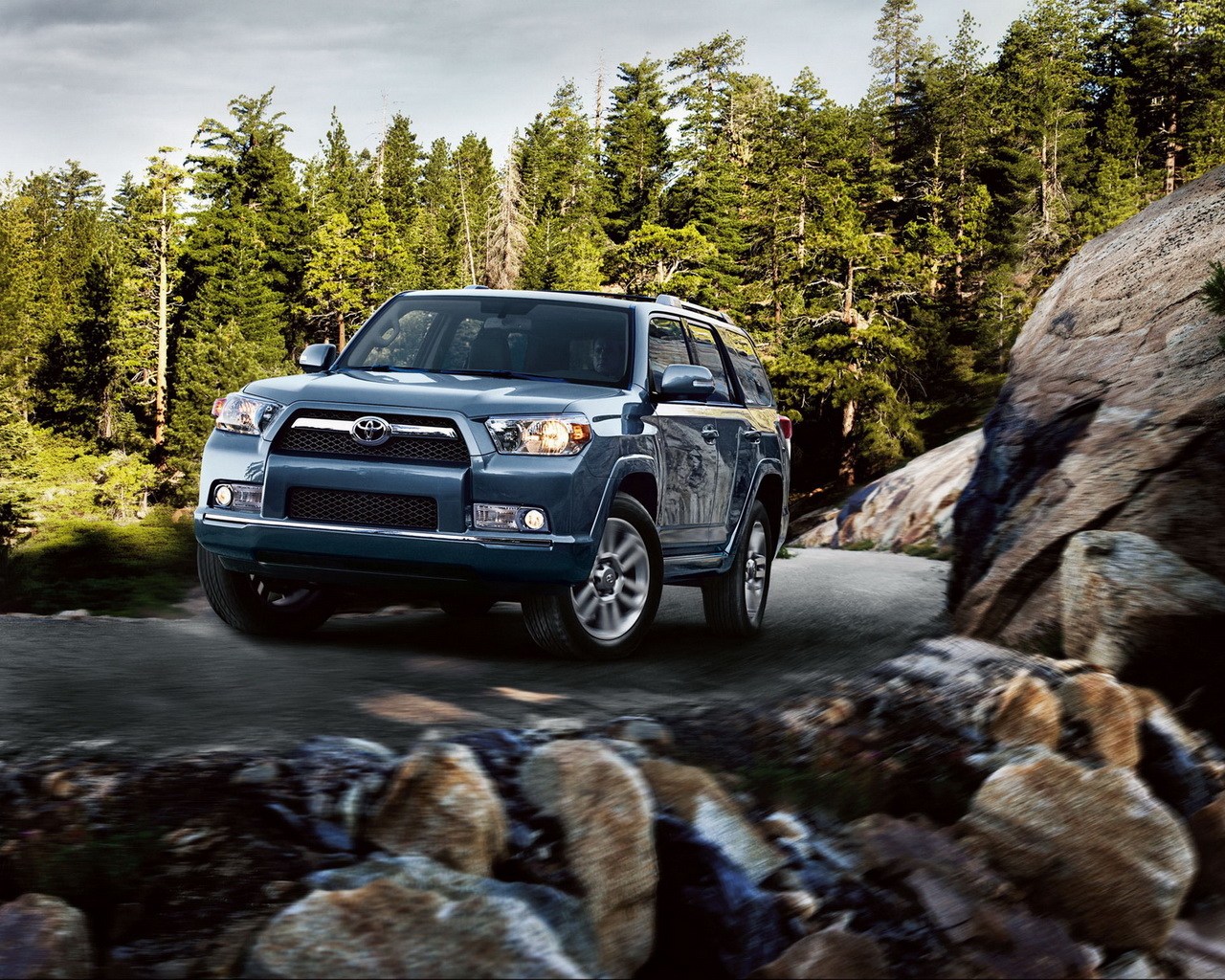 Toyota Runner Limited 03