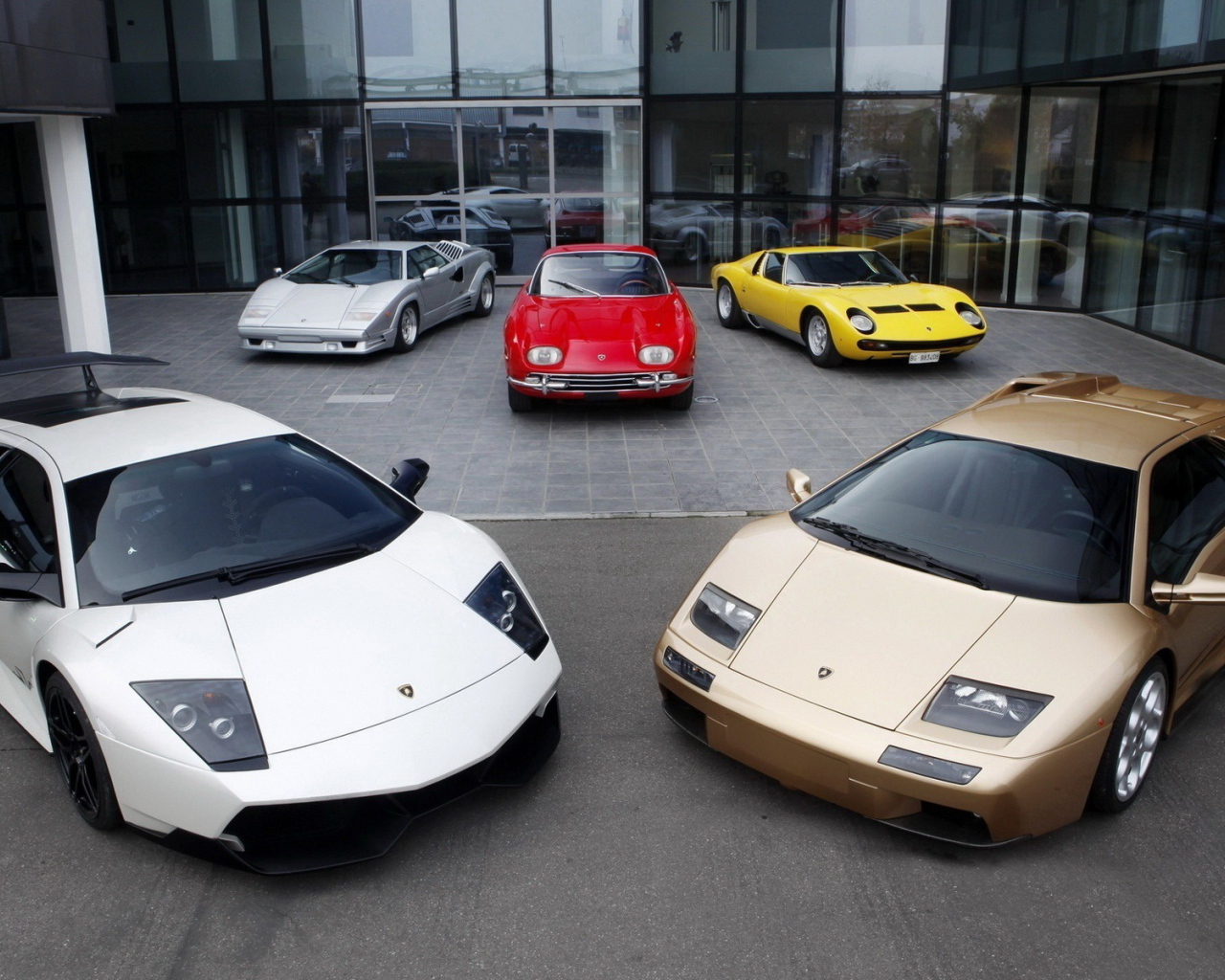 Different Lamborghinis