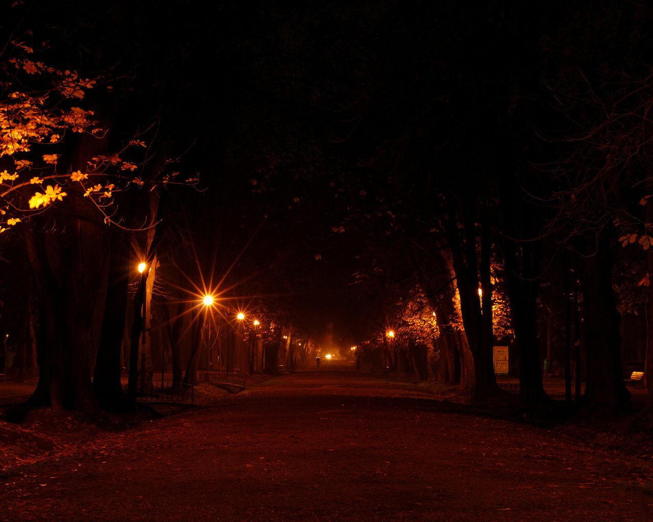 Аллея в огнях