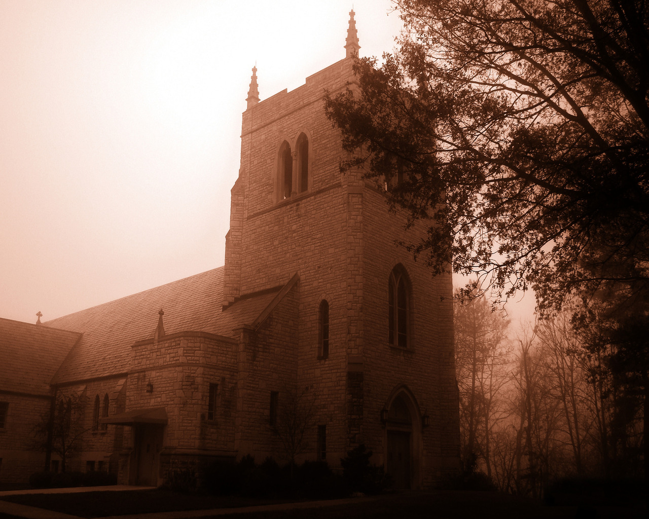 Замок в тумане