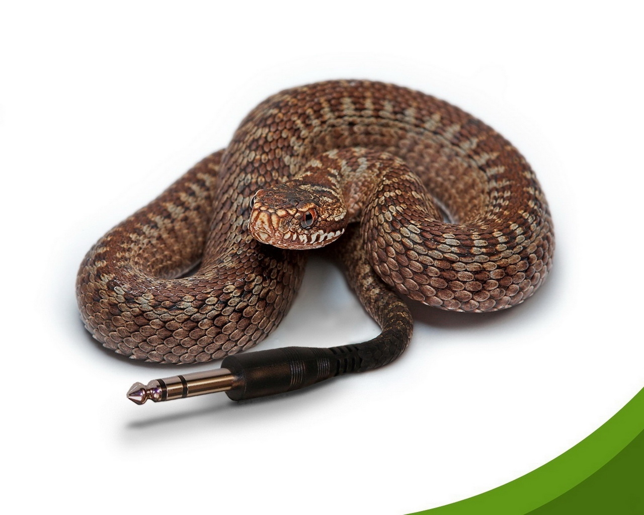 Компьютерная змейка