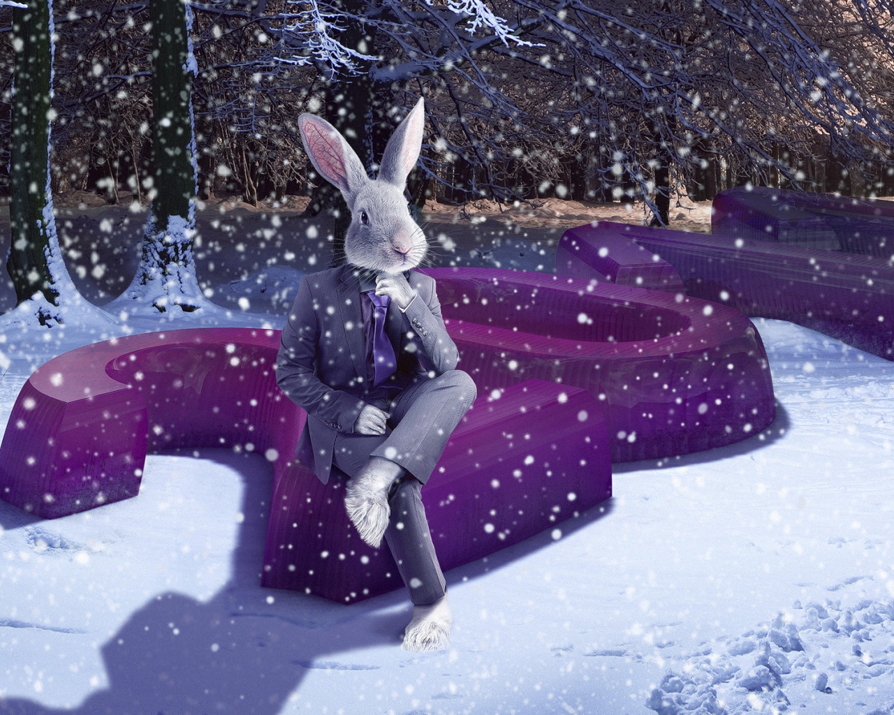 2011 Год зайца