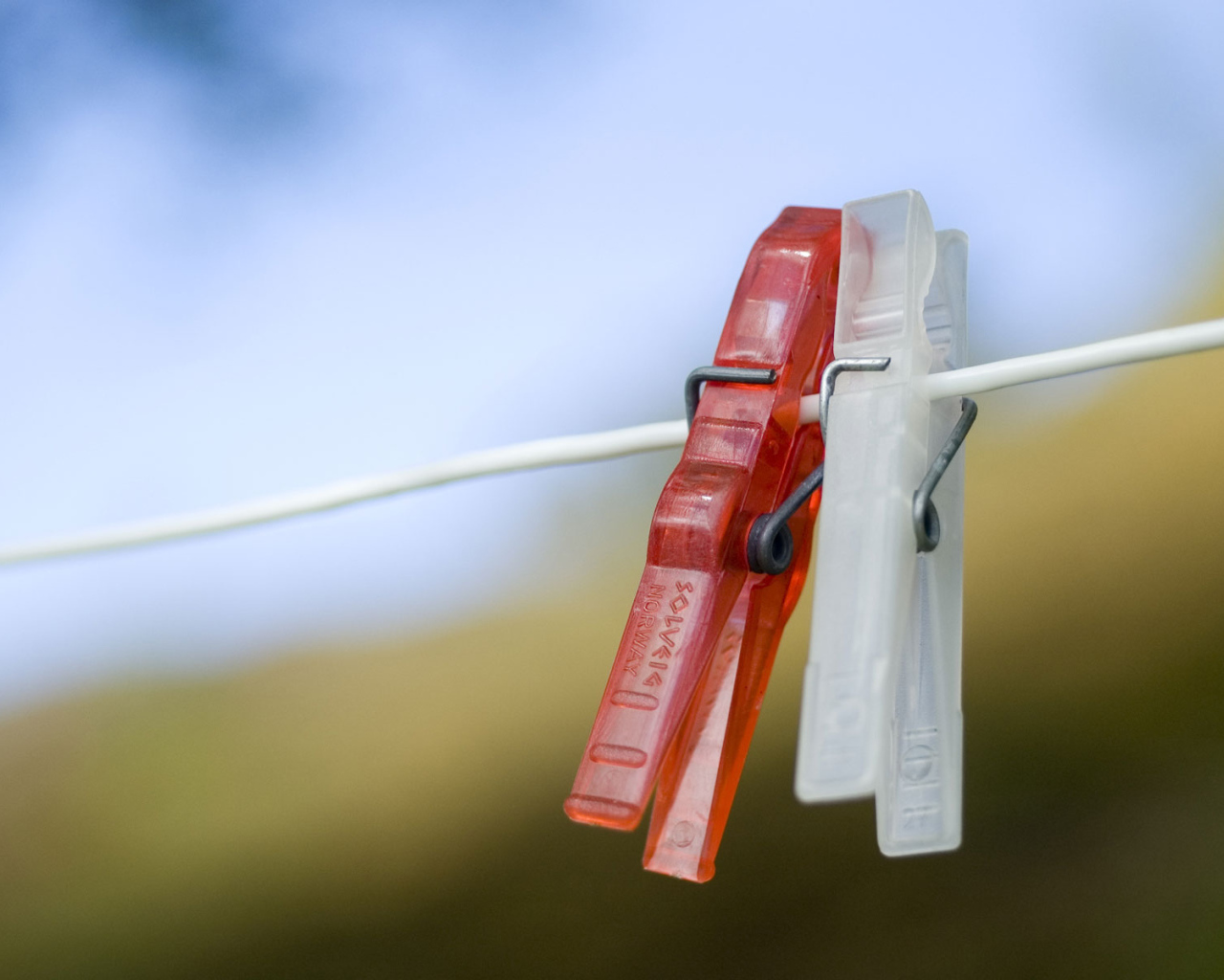 Любовь прищепки