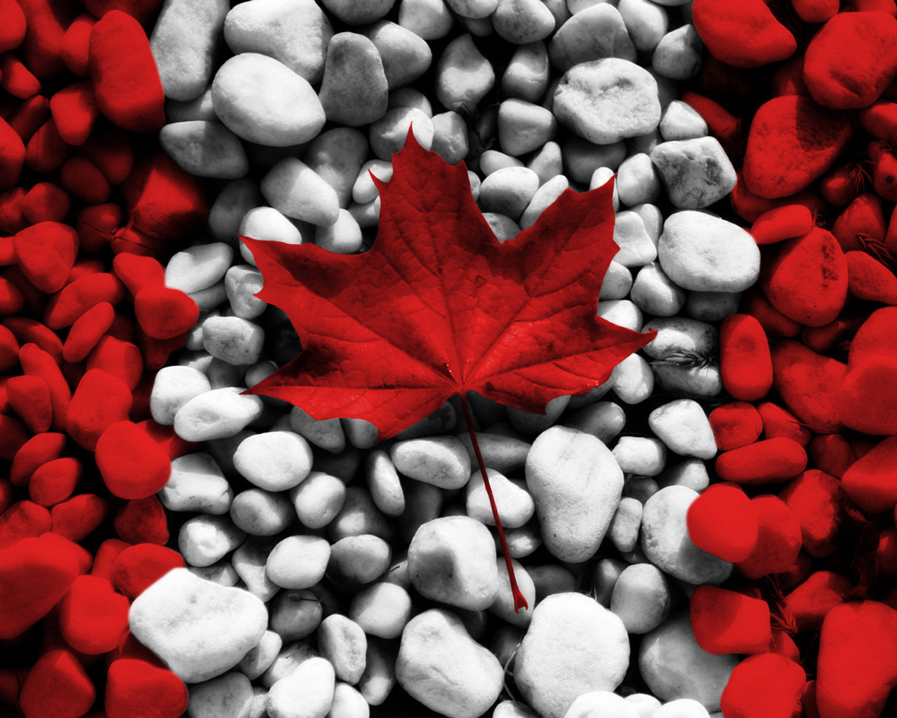 Креативный канадский флаг