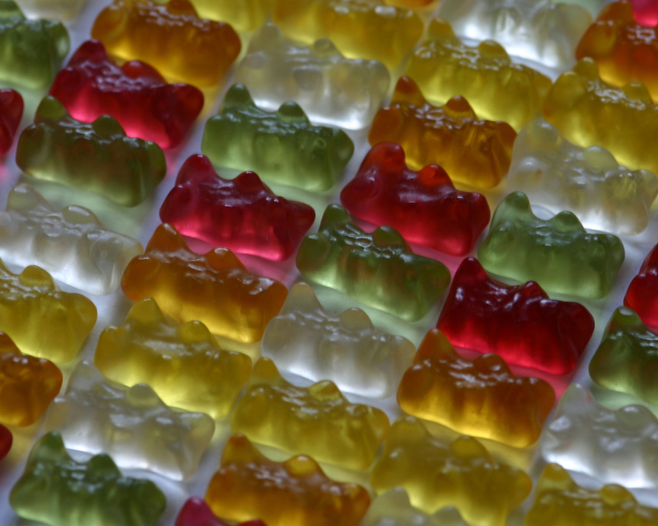 Жевательные медведи