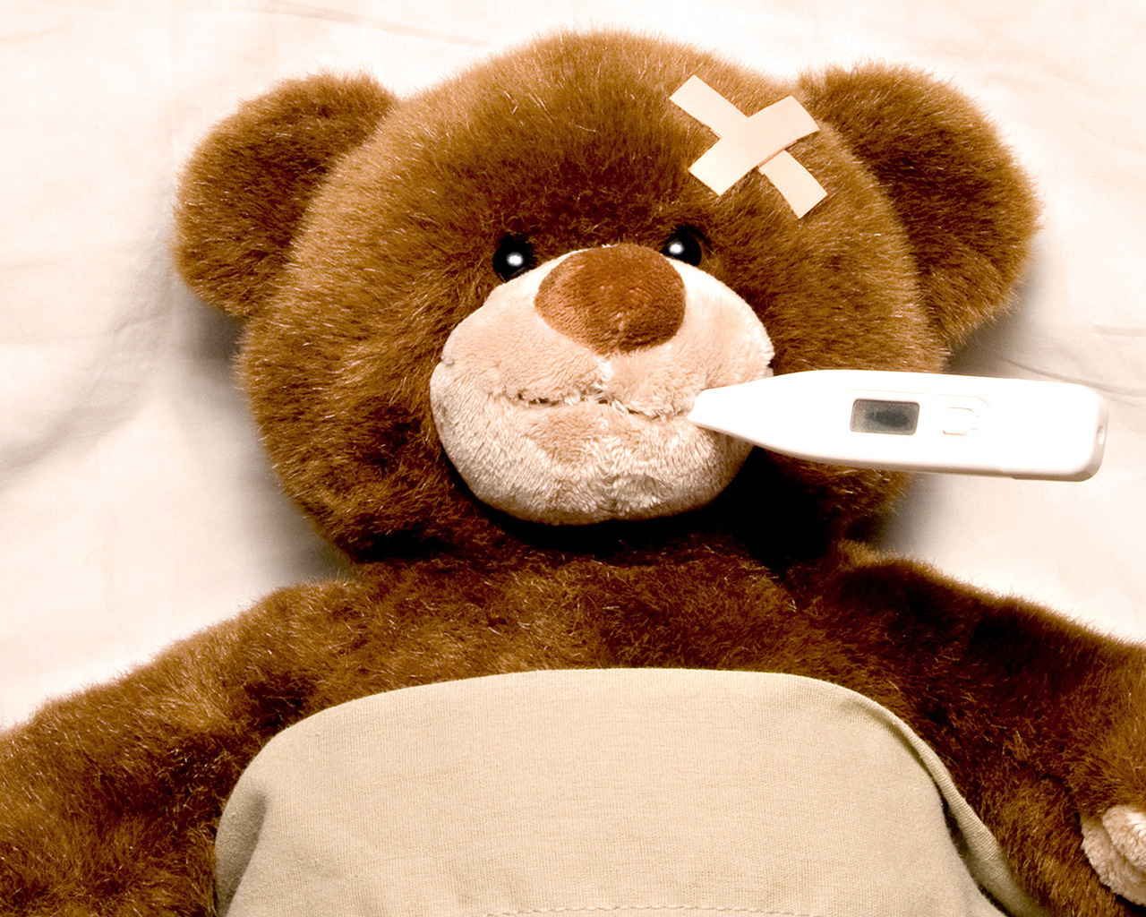 Заболевший мишка