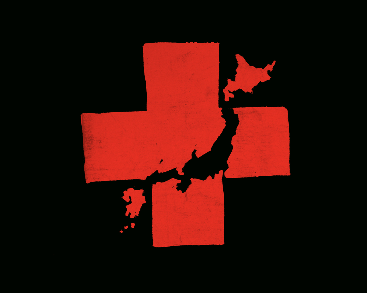 Катастрофа в Японии