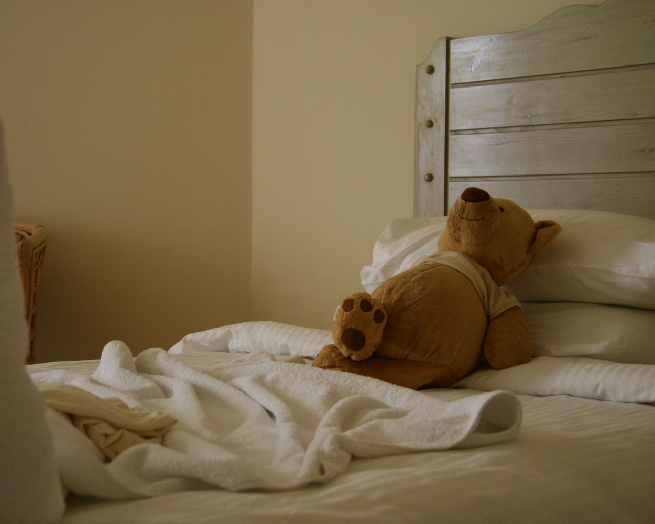 Мишка отдыхает