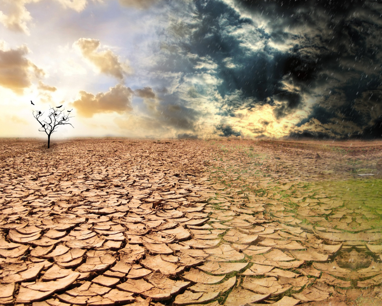 Сезон засухи  и сезон дождей