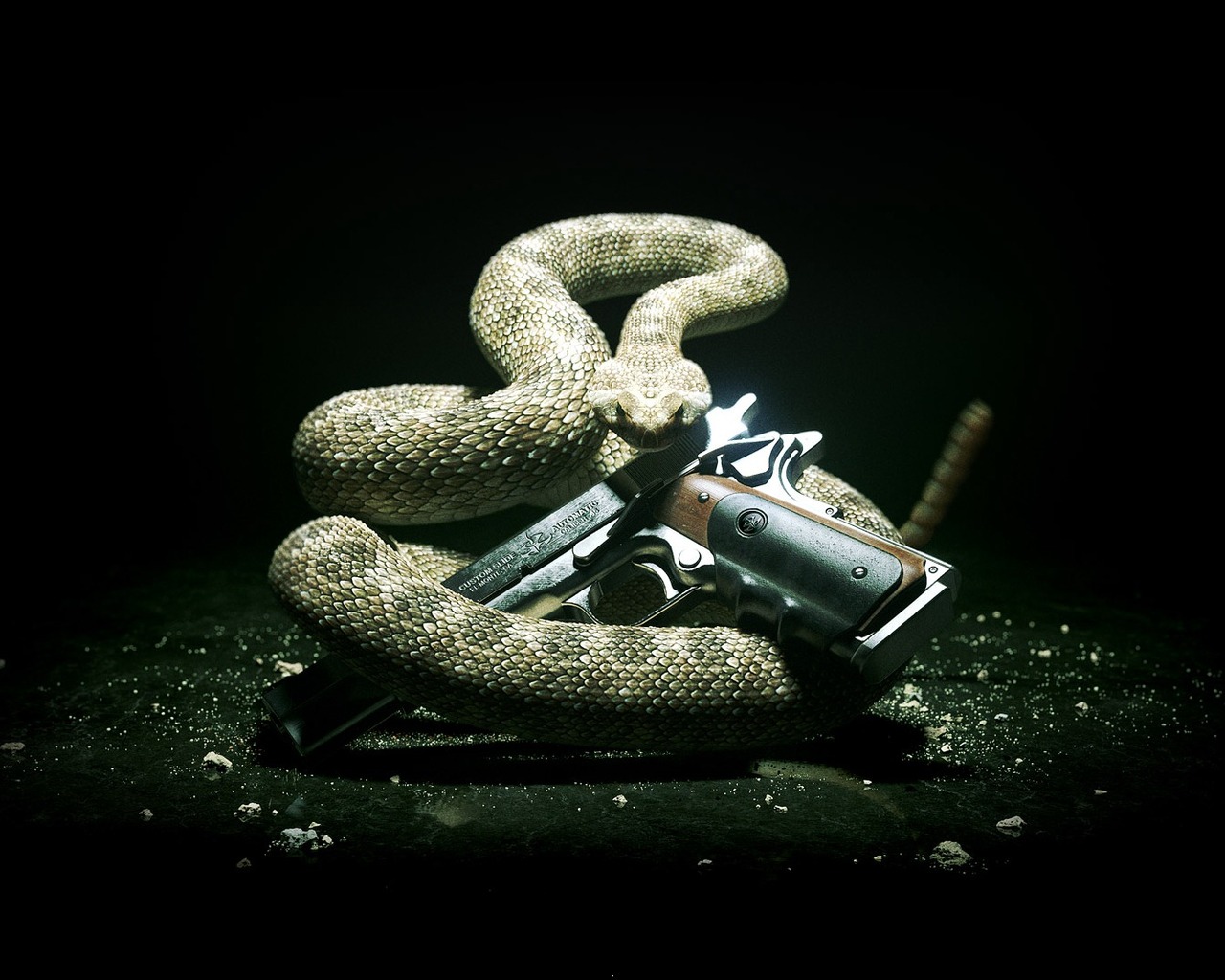 Змея и пистолет