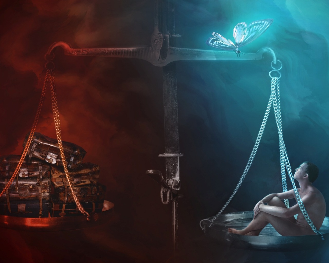 Вес бабочки