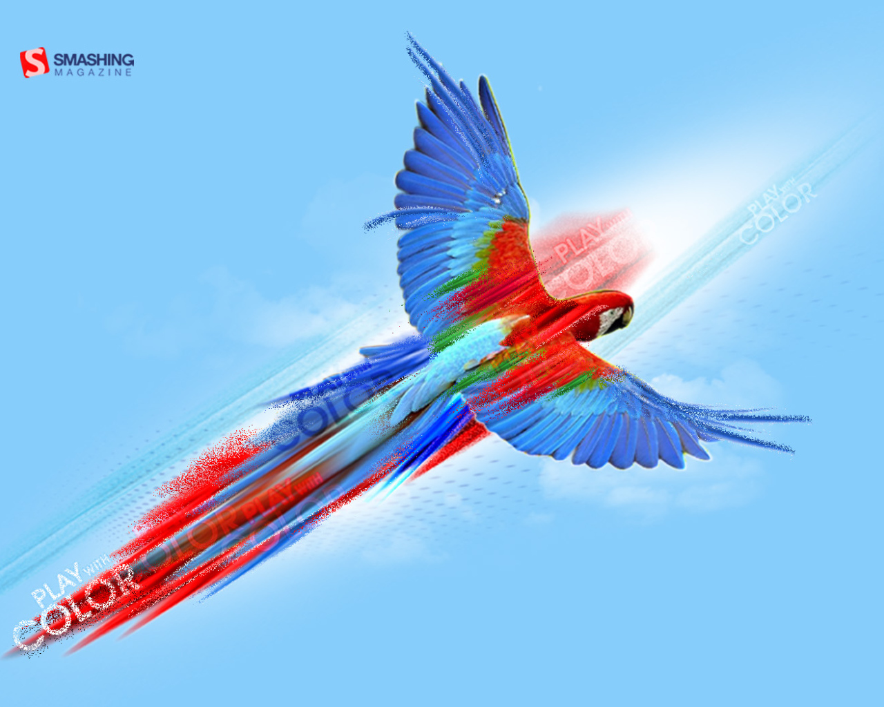 Попугай картина