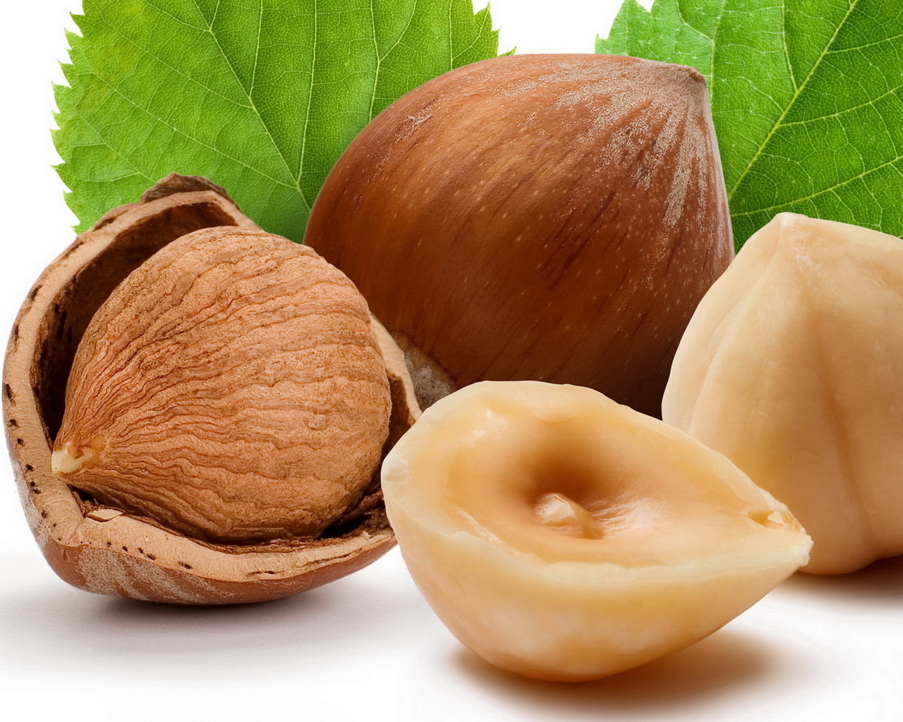 Лесные орехи