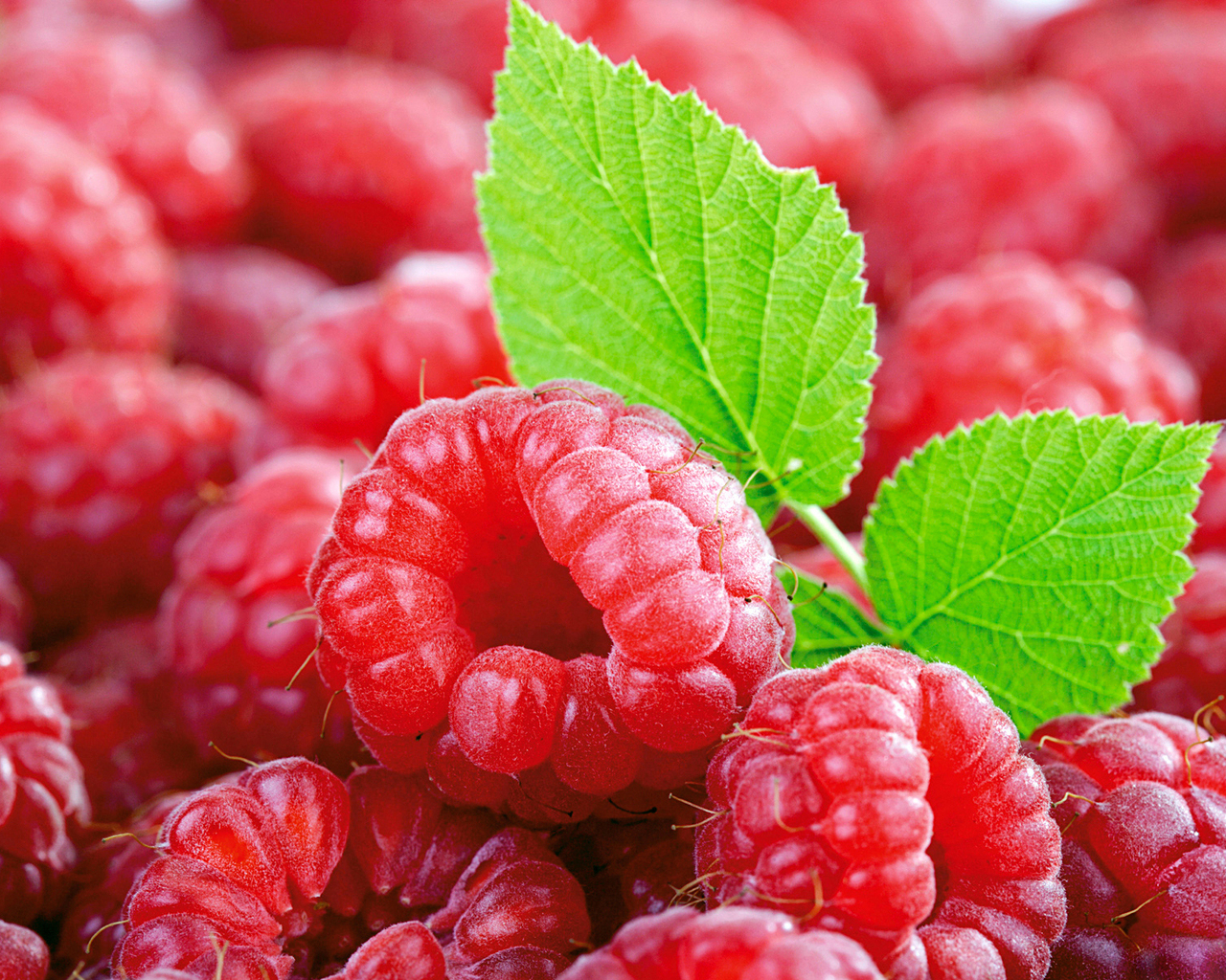 Спелая малина