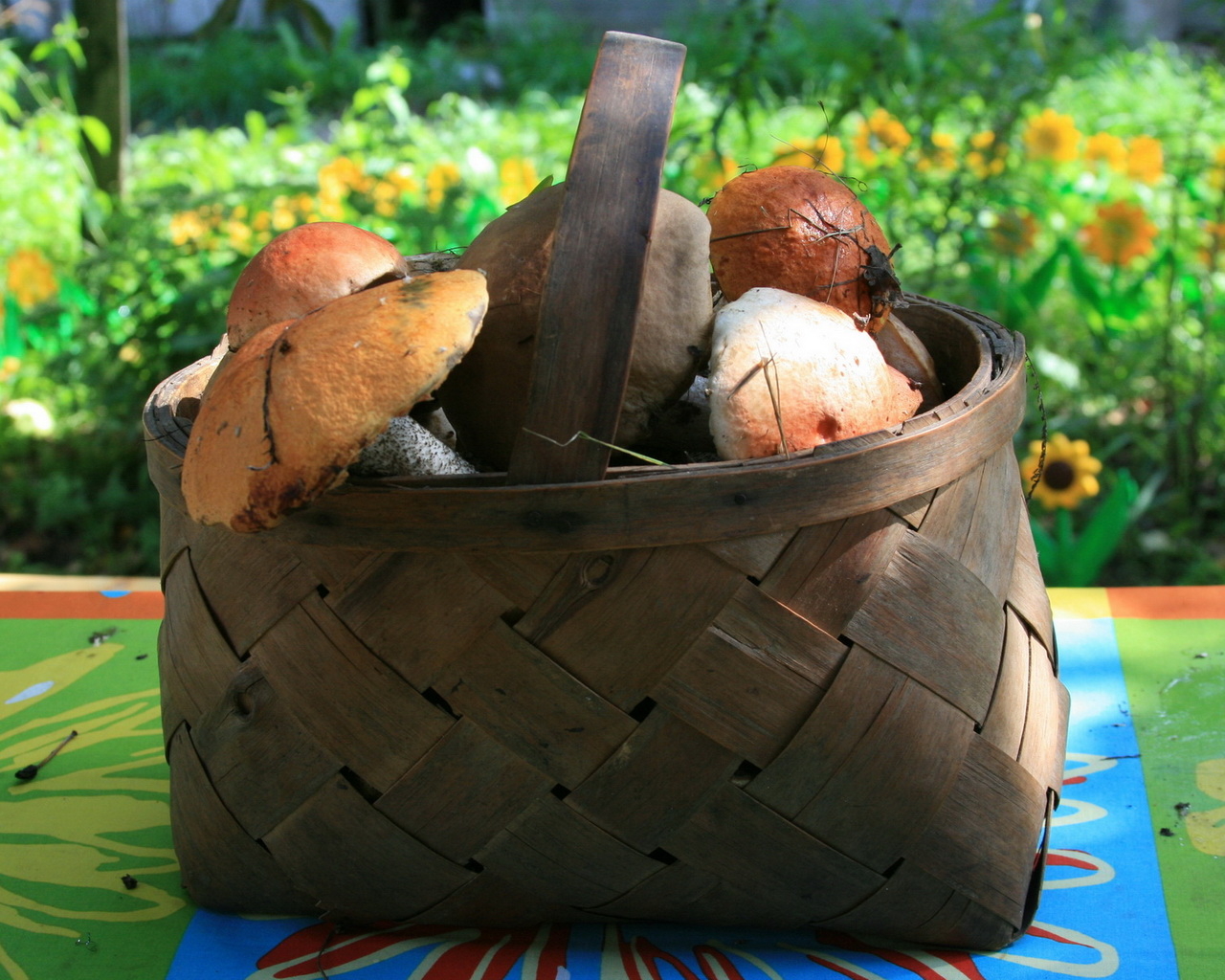 Корзина с грибами