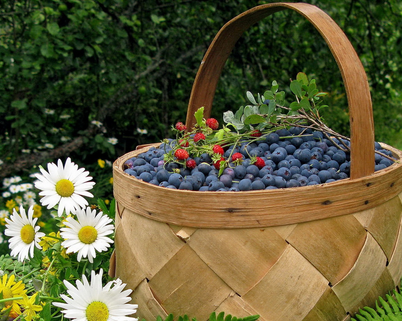 Корзина черники