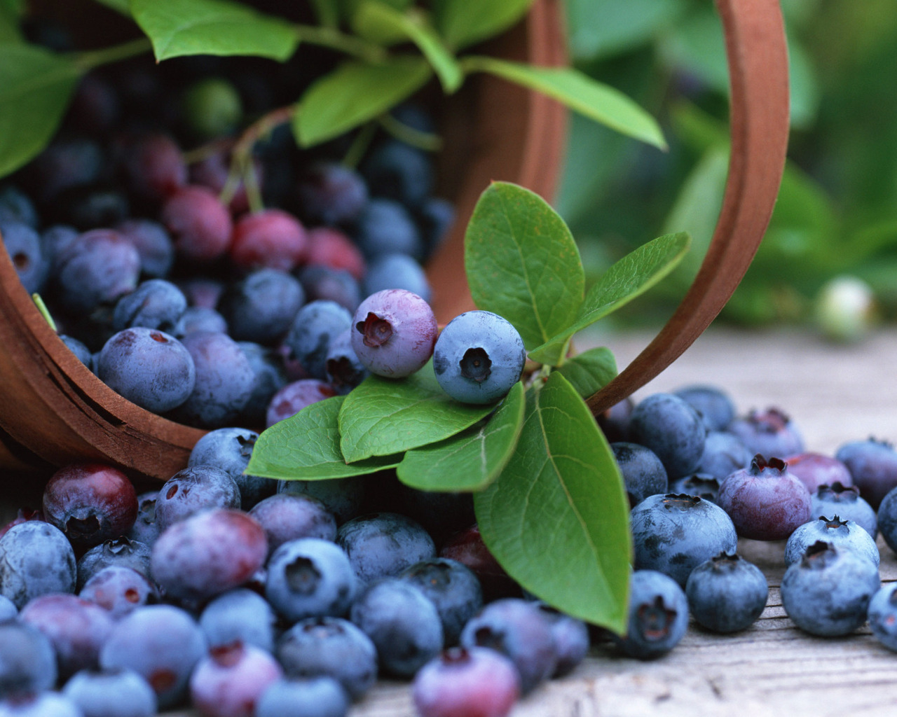 Корзинка черники