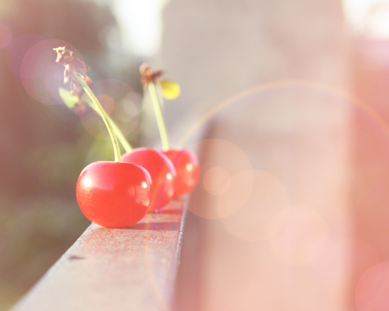 Вишня в лучах света