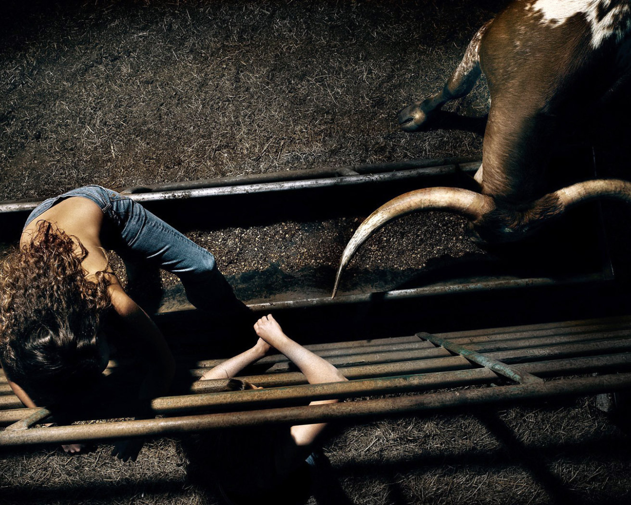 Бык и девушка