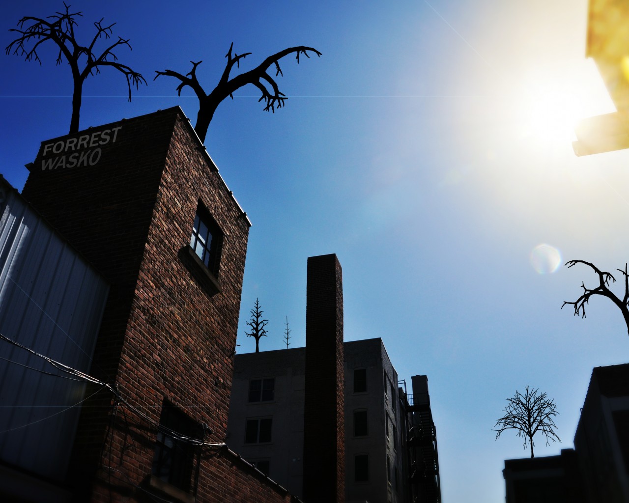 Деревья на крыше