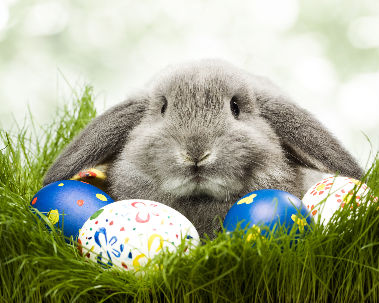 Кролик и яйца