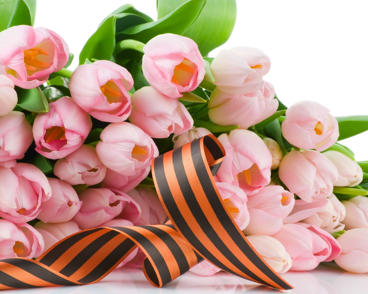 Лента и тюльпаны