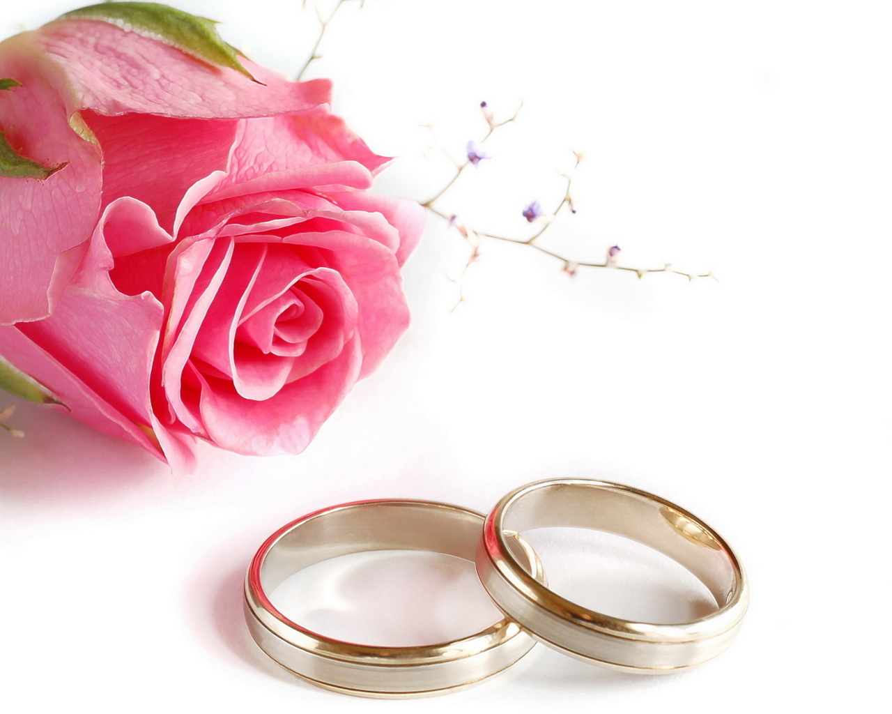 Кольца и роза