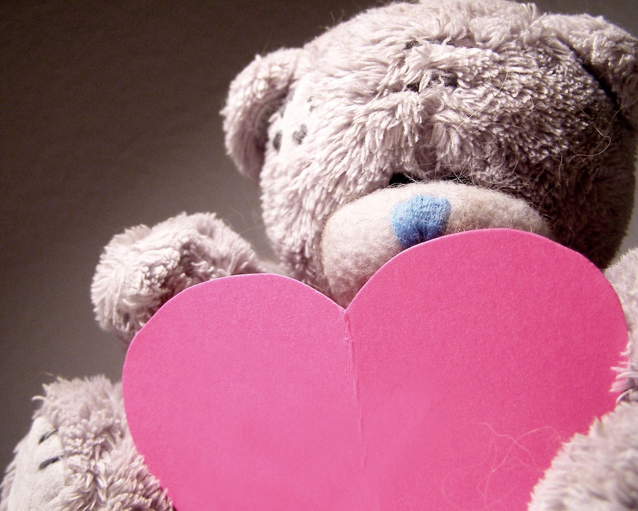 Признание в любви, мишка