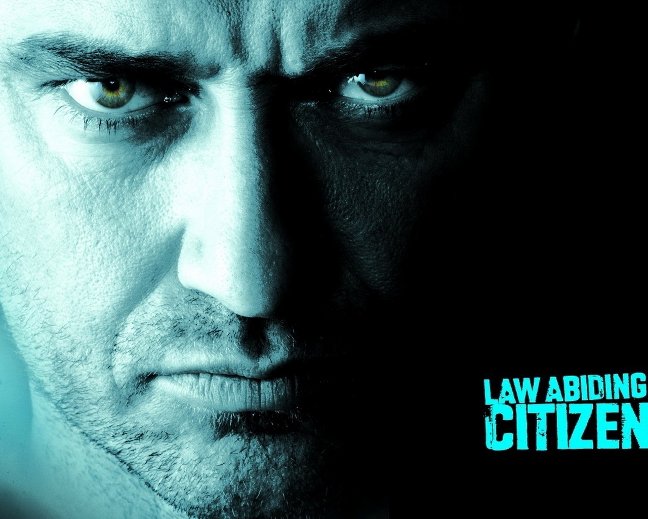 Законопослушный гражданин