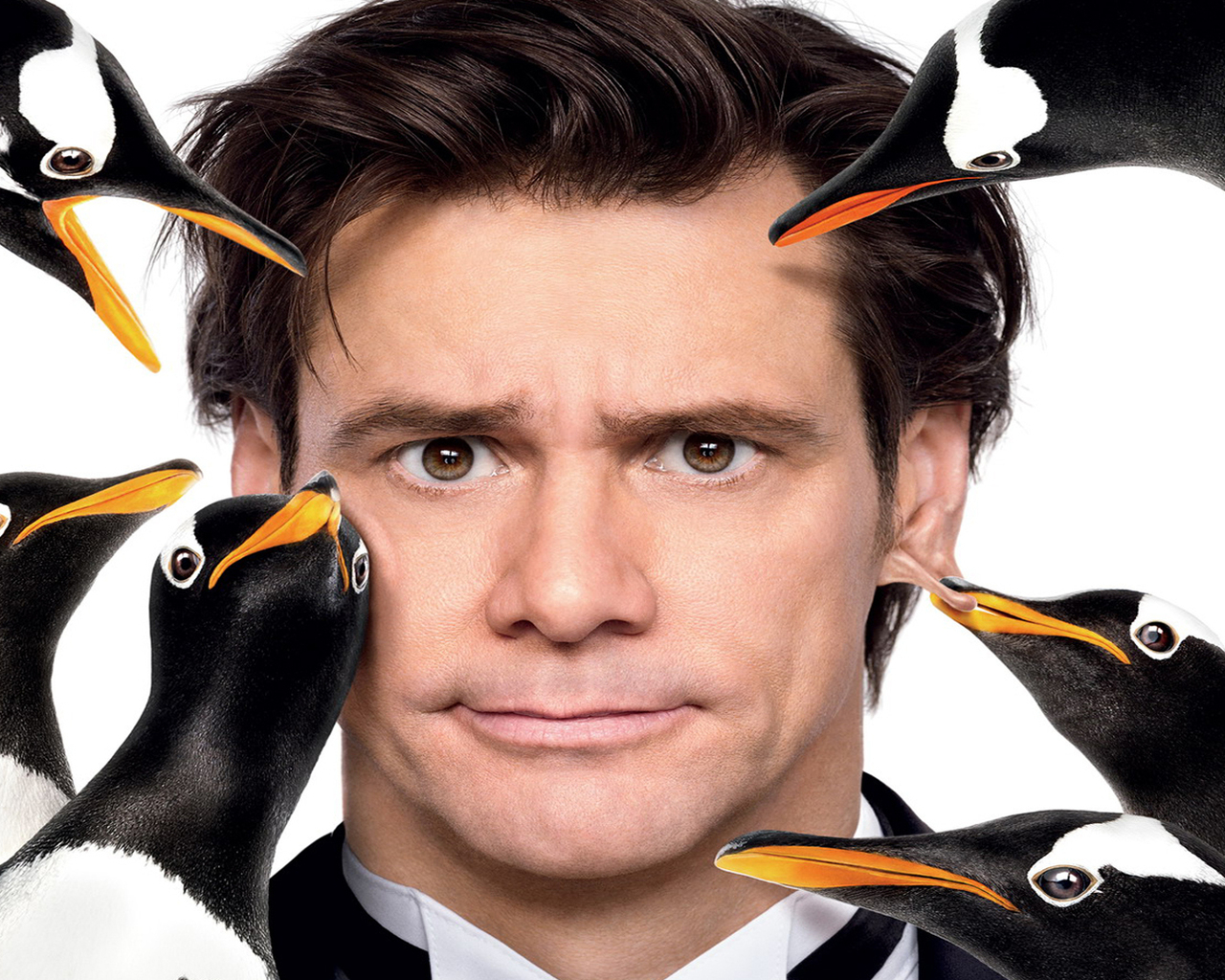 Пингвины мистера Поппера