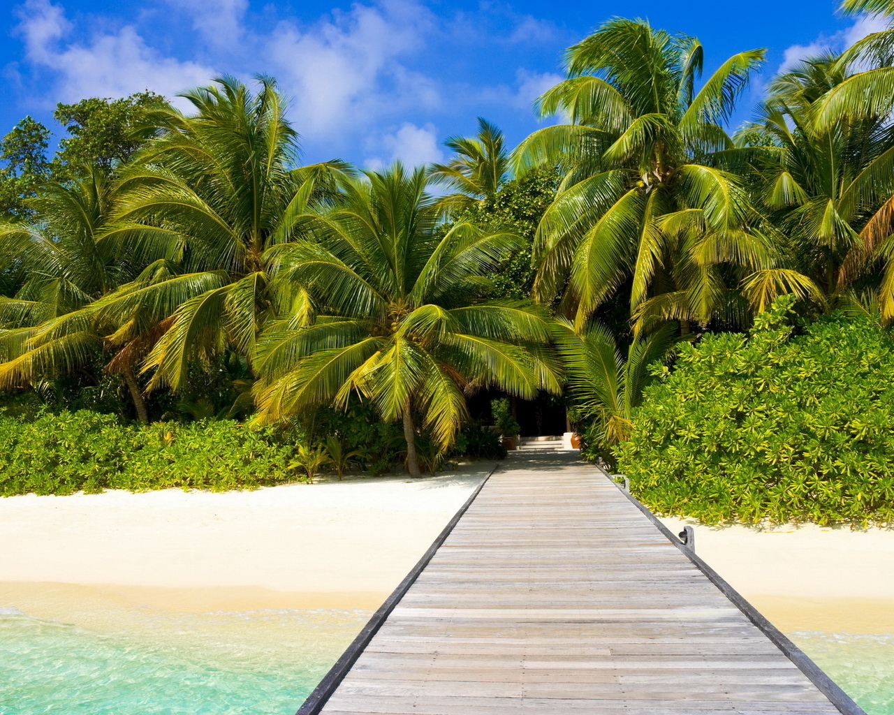 Пальмы на пляже