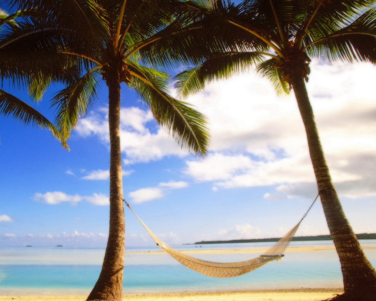 Пальмы на берегу