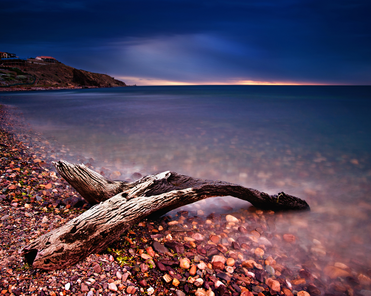 Коряга на берегу