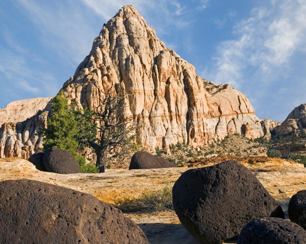 Пустынный пейзаж