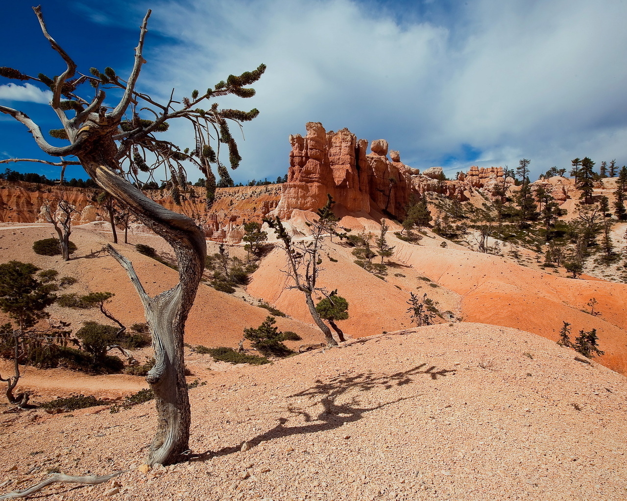 Пустынные холмы