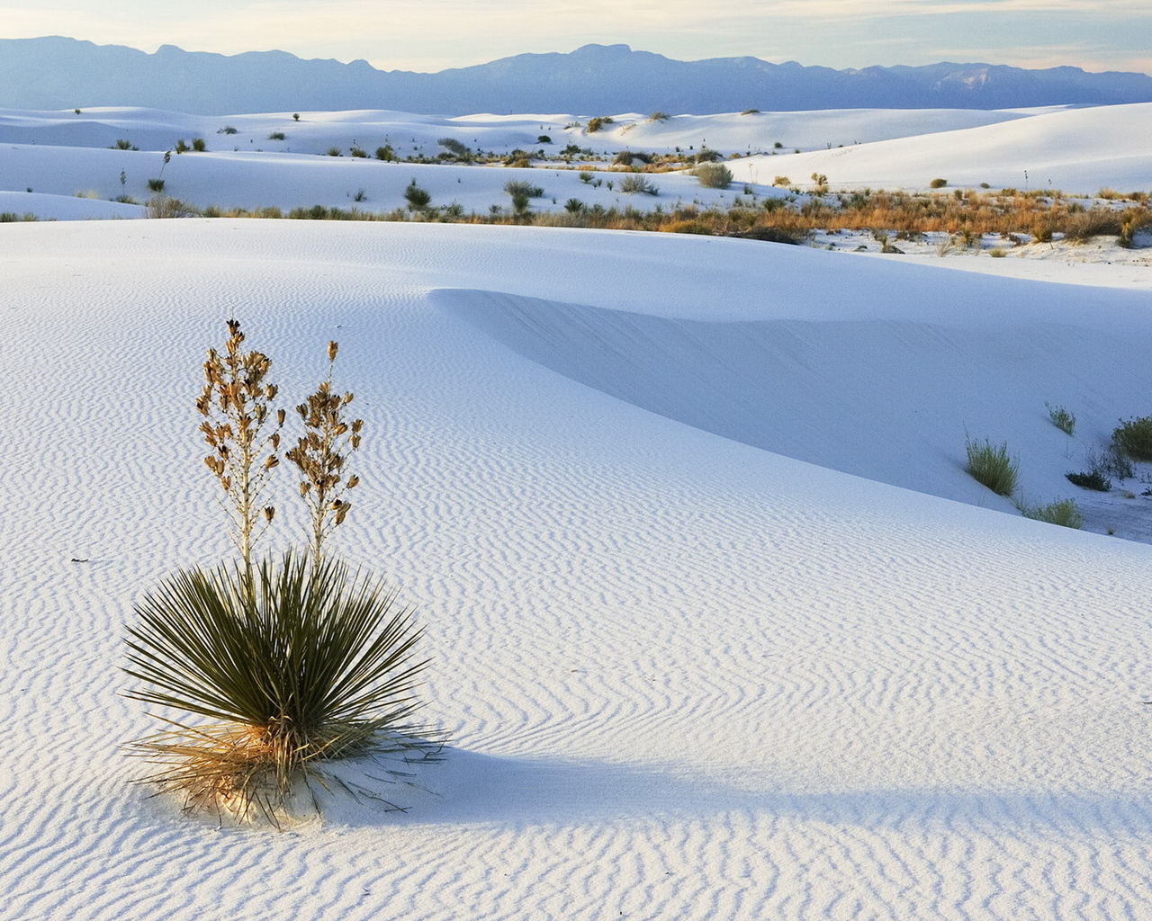 Белые пески