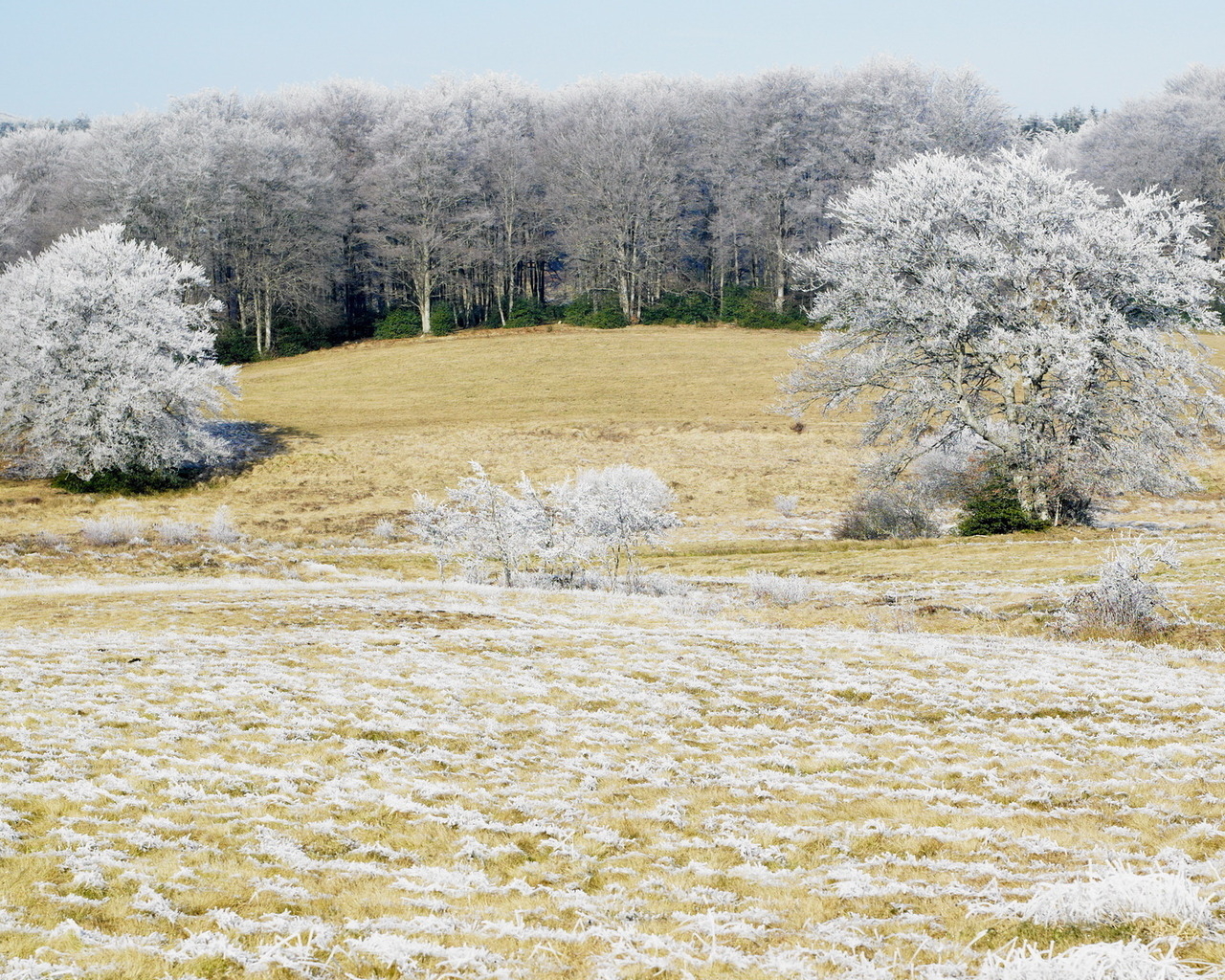 Холодным утром
