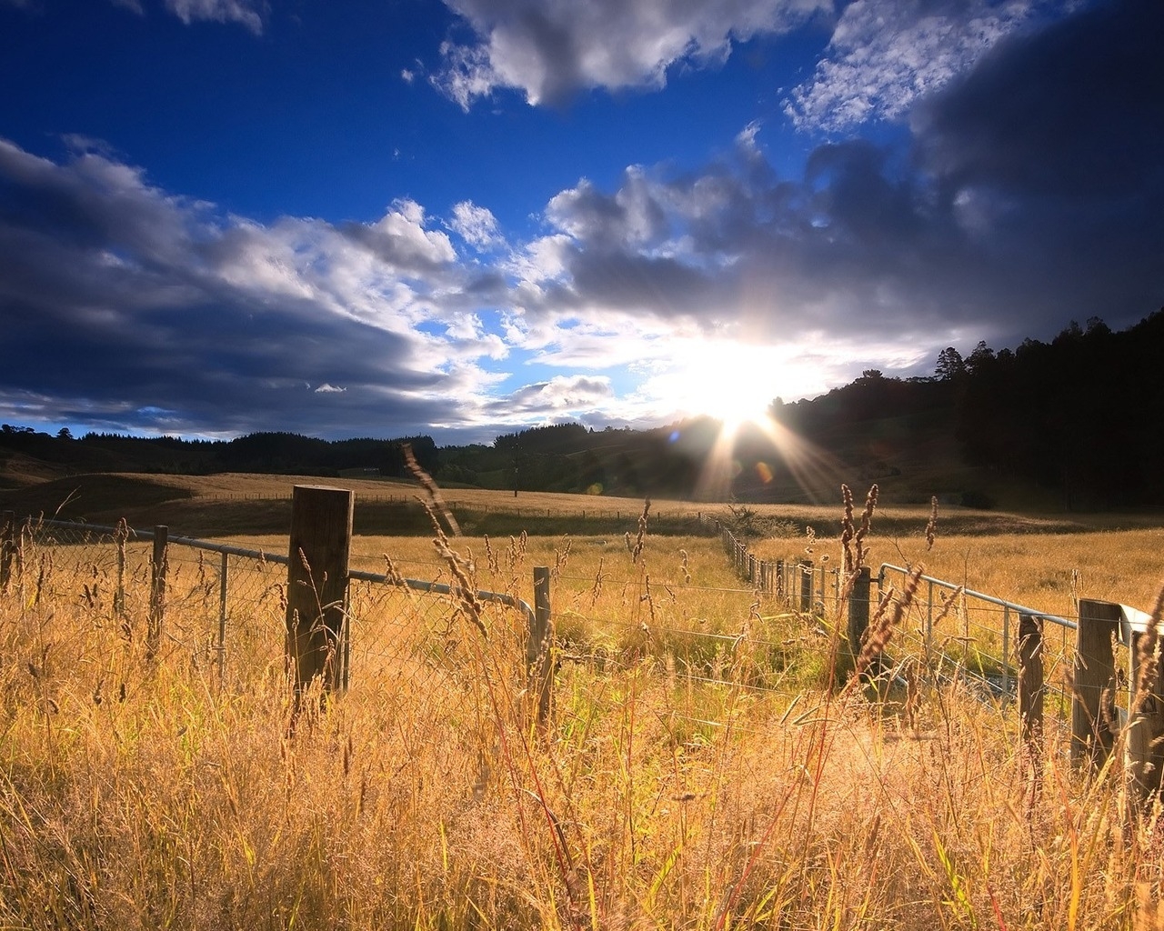 Огороженное поле