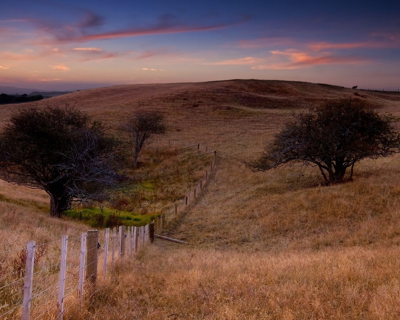 Поле и забор