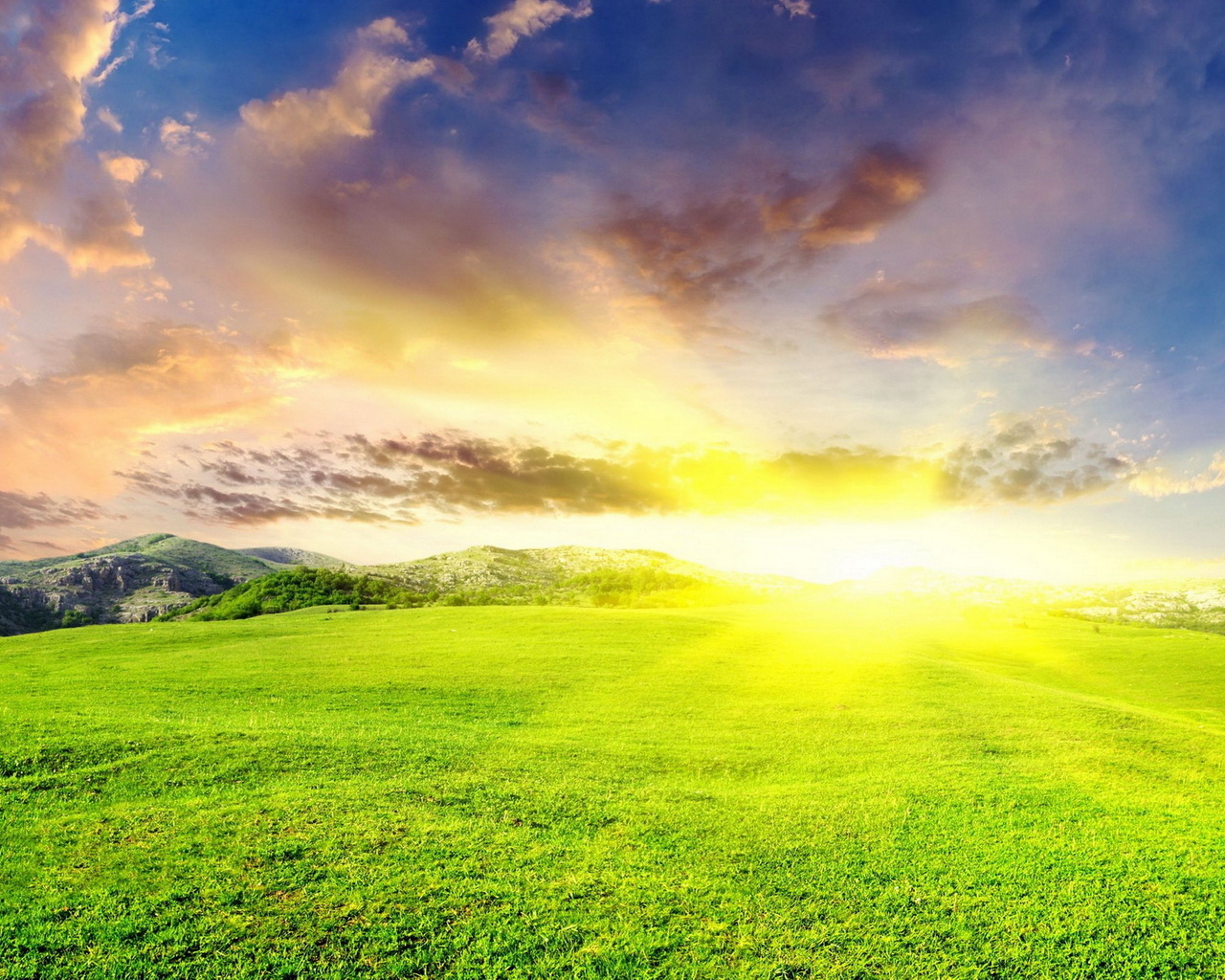 Зеленые луга