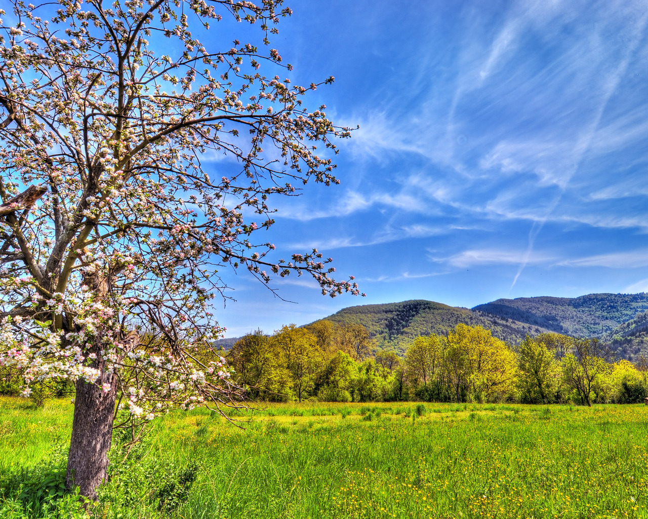 Весенний пейзаж