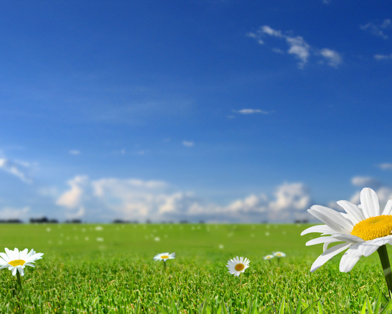 Летнее настроение