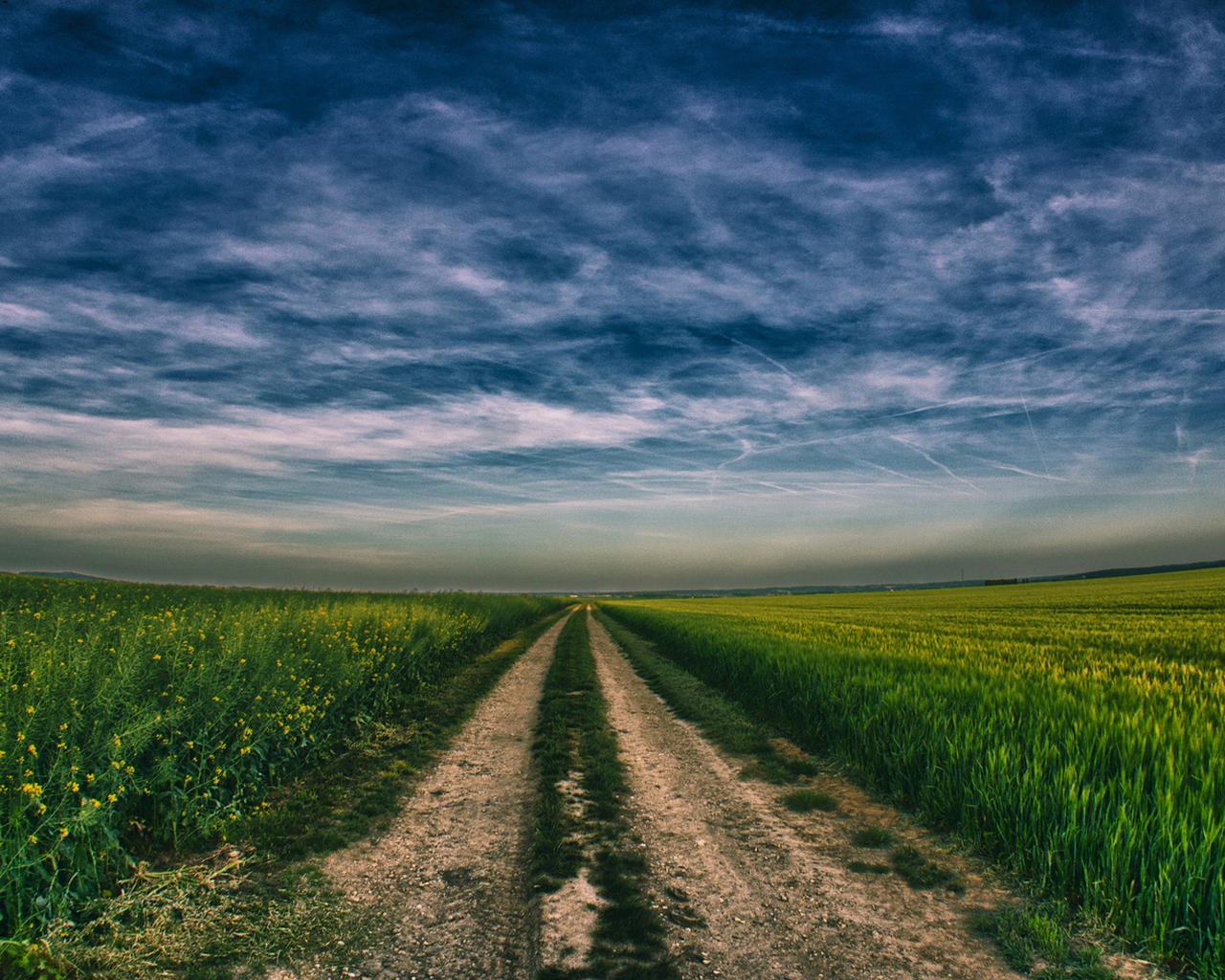 Дорога в поле