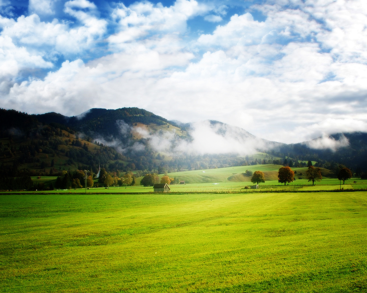 Просторы полей