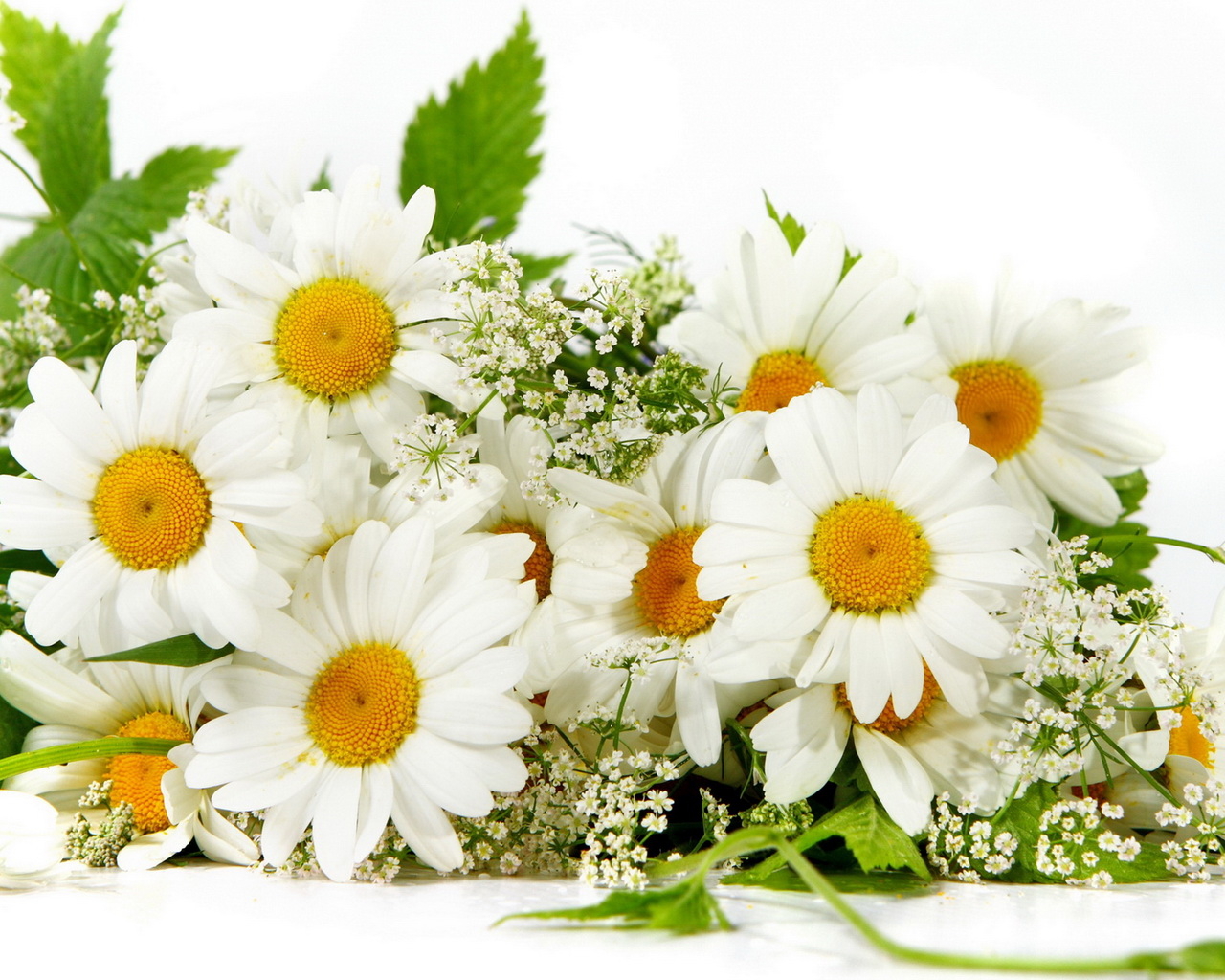 Букет из ромашек