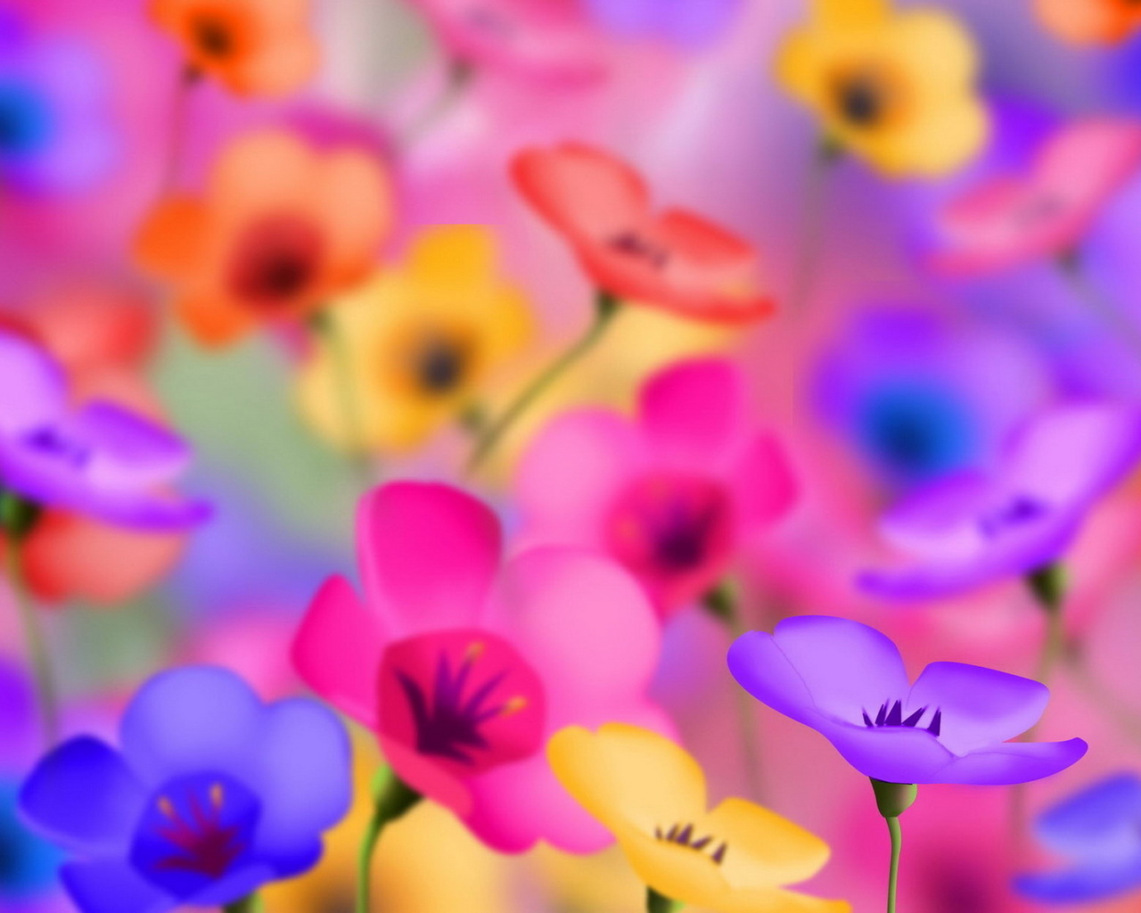 Яркие цветочки