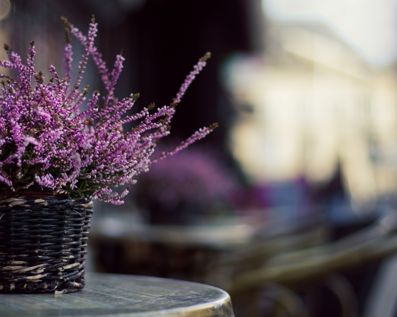 Цветы в корзинке