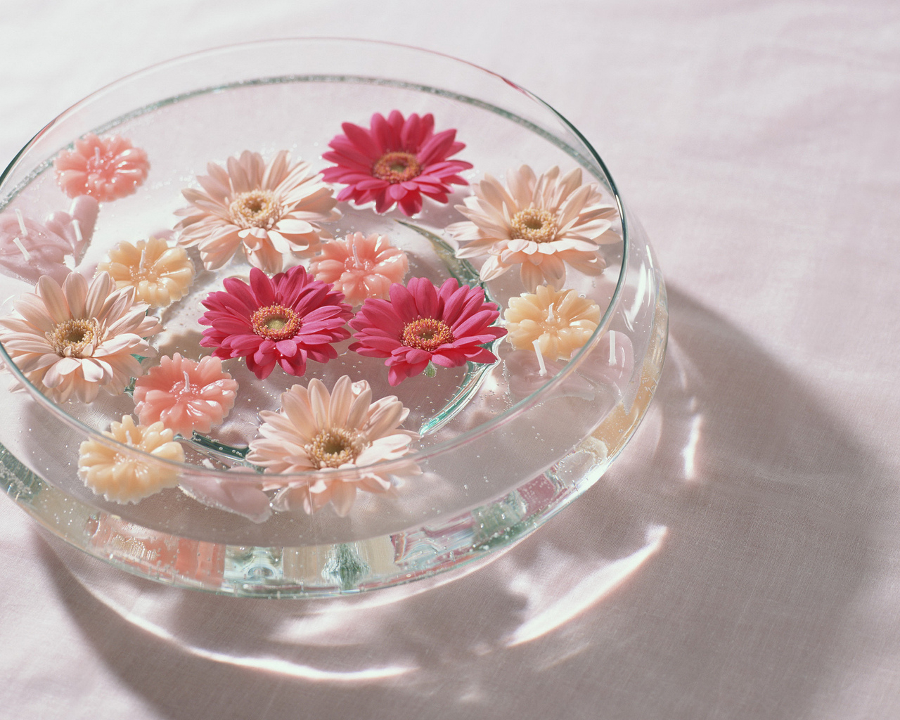 Герберы в воде