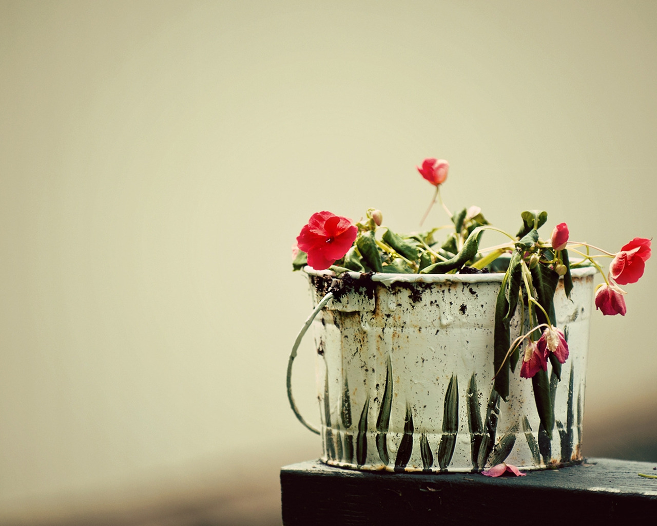 Вялые цветы