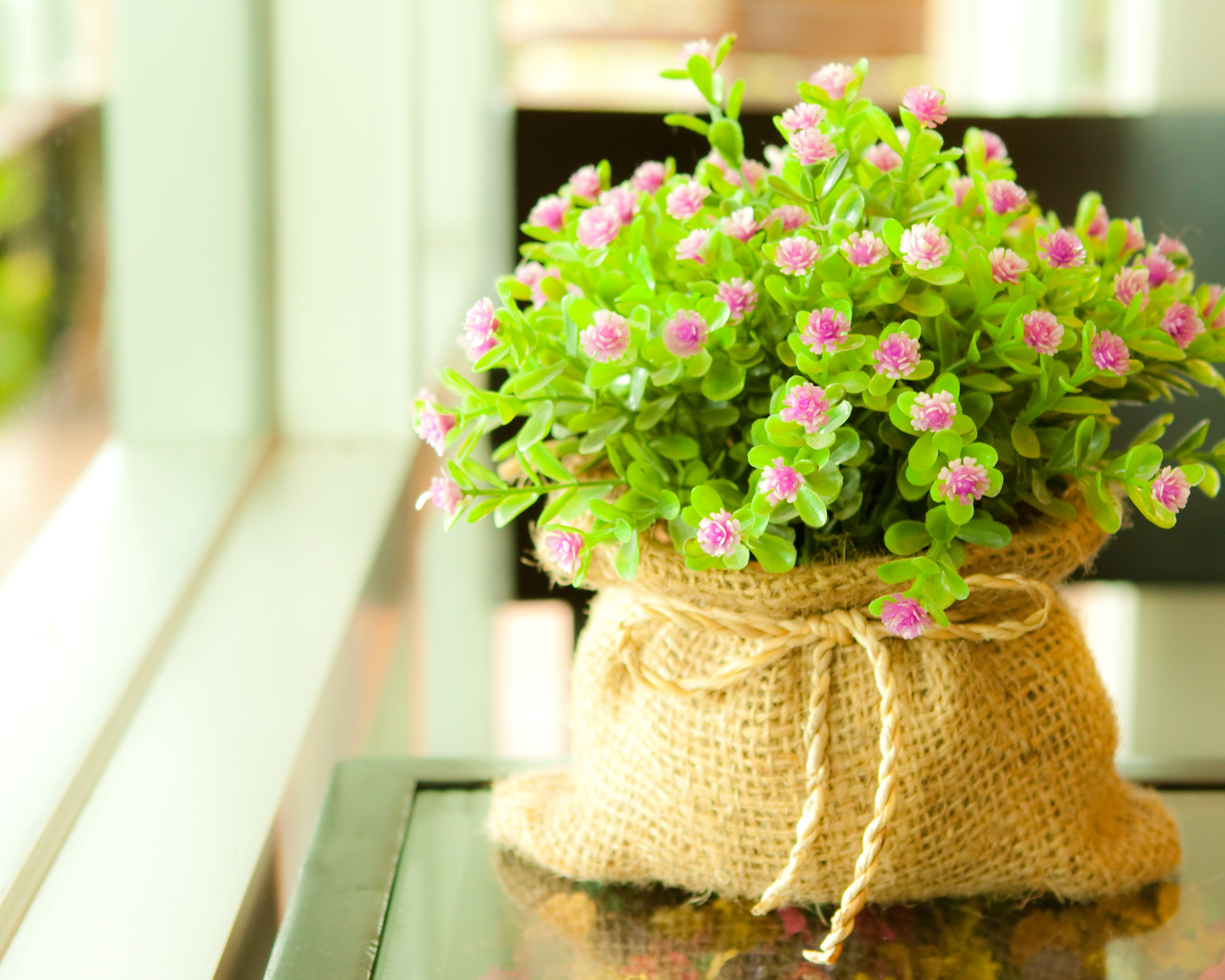 Мелкие цветочки